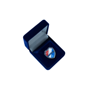Pins klubowy